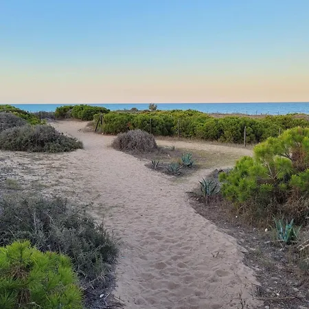 Pinada 316 La Mata (Torrevieja)